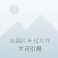 一人：重生黄仙，开局讨封冯宝宝