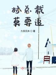 林总裁莫要追
